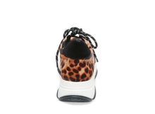 Load image into Gallery viewer, SINAI LEOPARD