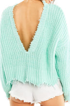 Load image into Gallery viewer, Palmetto Sweater | Aqua Diver