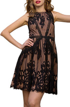 Load image into Gallery viewer, Trina Lace Fit &amp; Flare