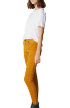 Load image into Gallery viewer, Marigold / 53L-1518