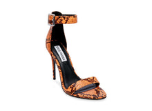 Load image into Gallery viewer, ORANGE SNAKE