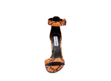 Load image into Gallery viewer, ORANGE SNAKE
