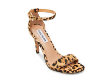 Load image into Gallery viewer, LEOPARD