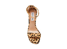 Load image into Gallery viewer, LEOPARD