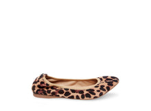 Load image into Gallery viewer, LEOPARD