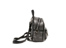 Load image into Gallery viewer, BSCOTTIE BLACK SILVER