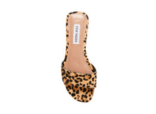Load image into Gallery viewer, LEOPARD