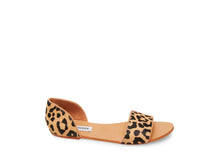 Load image into Gallery viewer, LEOPARD