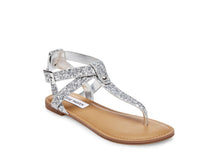 Load image into Gallery viewer, SILVER GLITTER