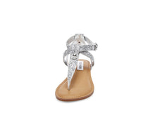 Load image into Gallery viewer, SILVER GLITTER