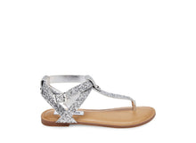Load image into Gallery viewer, SILVER GLITTER