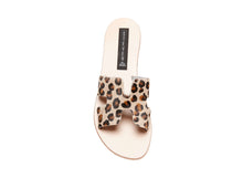 Load image into Gallery viewer, GREECE LEOPARD